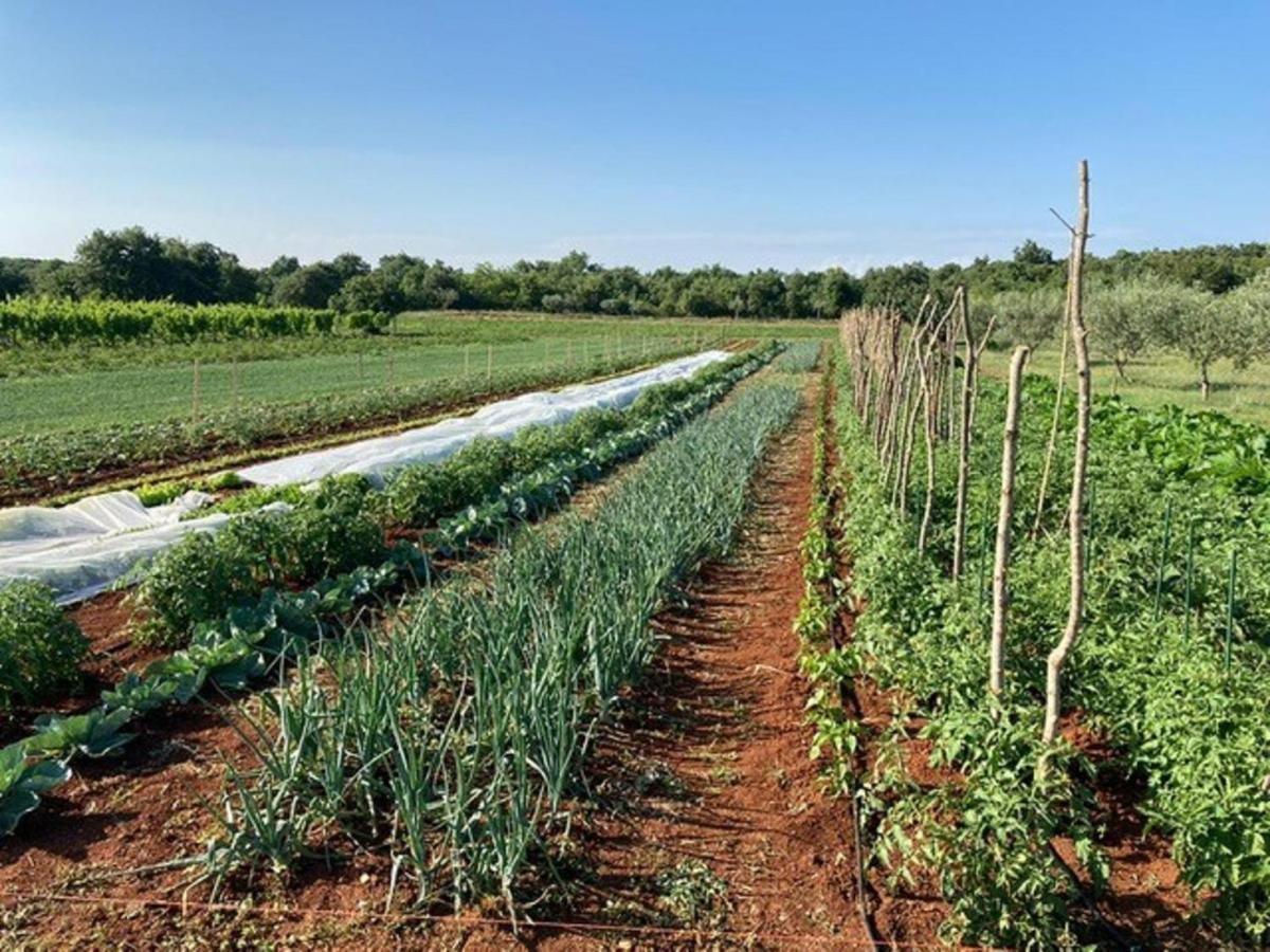 Farmhouse Cubani Bale Ngoại thất bức ảnh