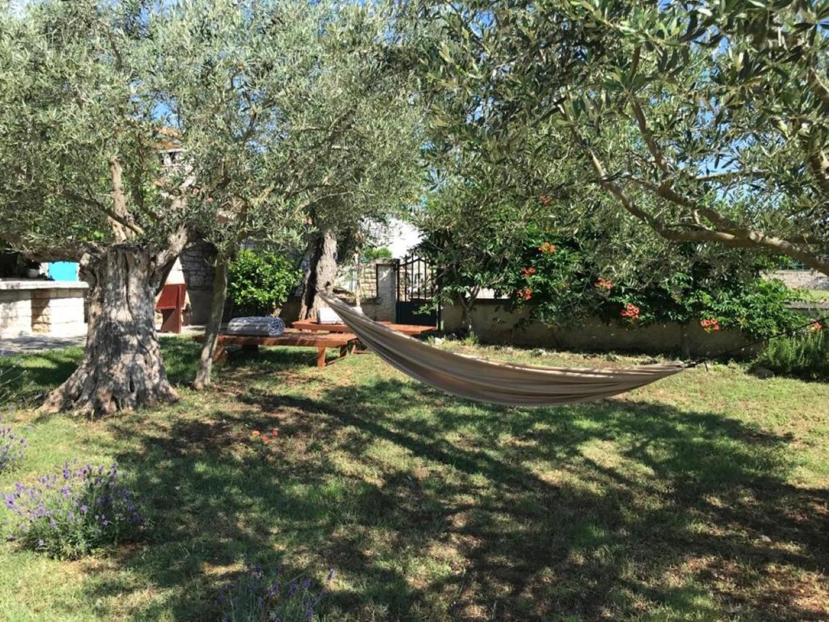Farmhouse Cubani Bale Ngoại thất bức ảnh